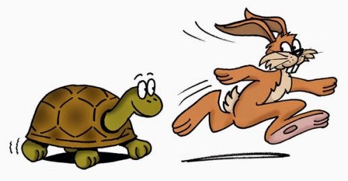 The Insuretech Tortoise vs. The Insuretech Hare - The Insuretech Tortoise vs. The Insuretech Hare -