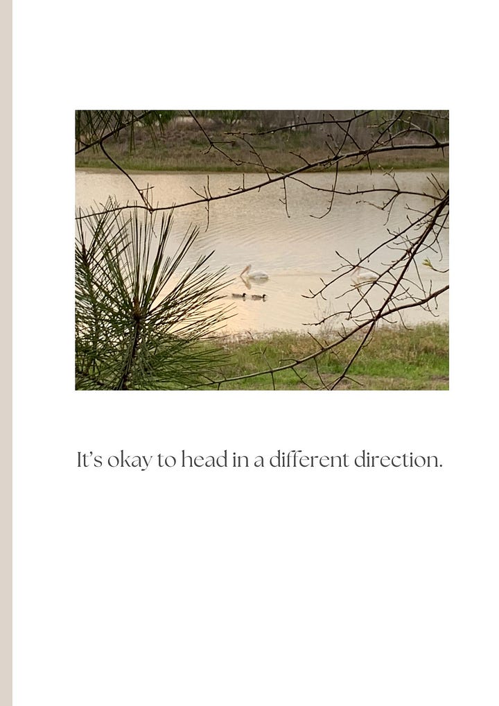 photos of a sawfish, pelican, and ducks with inspirational quotes