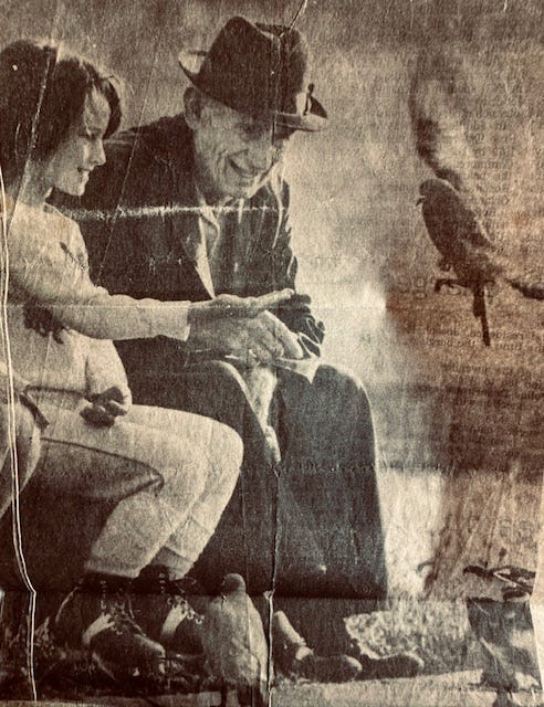 Grainy picture of birds landing on grandfather with child
