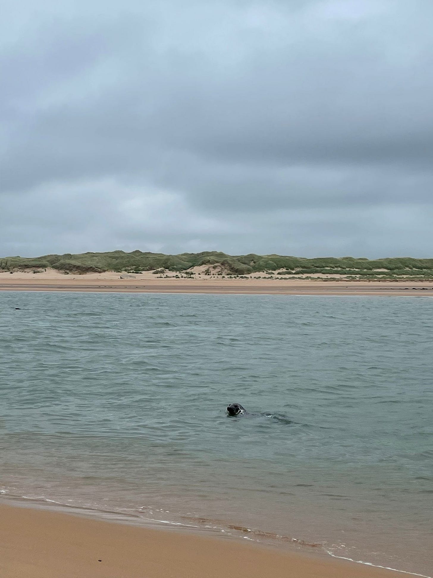 Living in Aberdeen Part 5