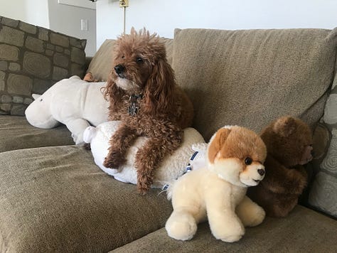 Various photos of Humphrey with his family on the couch and in California. 