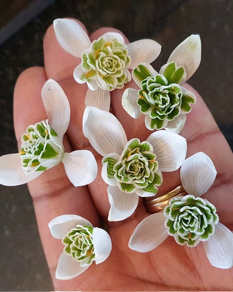 Galanthus 'Advolly Richmond', a selection of doubles, Galanthus 'Diggory.' Photos by Advolly Richmond