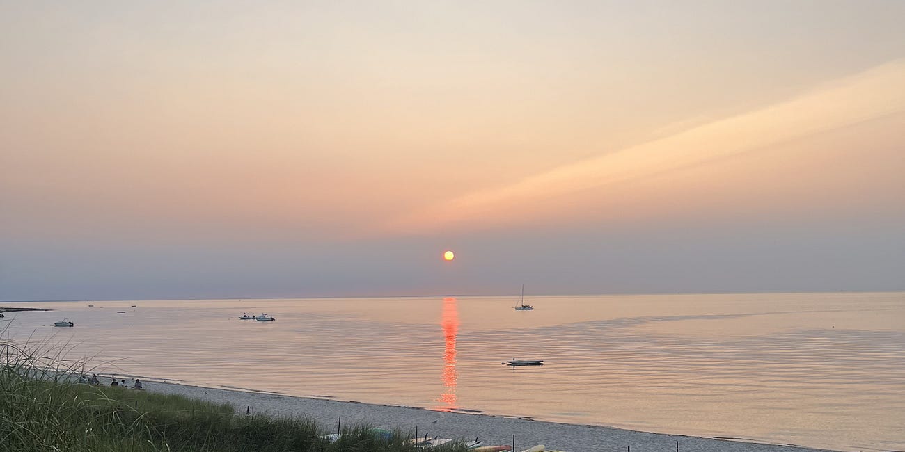 How to weaponize your suffering for success 