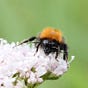 Bee Positive's avatar