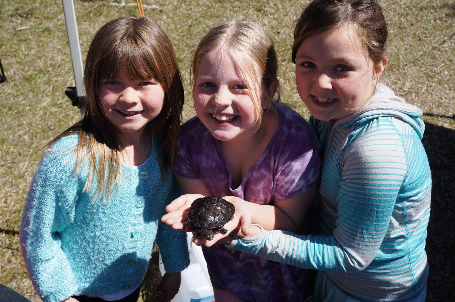 Waterways Festival 2017 Cailin Lyddiard (left) Caitlyn Clark (middle) and Mirabai Sigel (right) make friends with a baby ....JPG