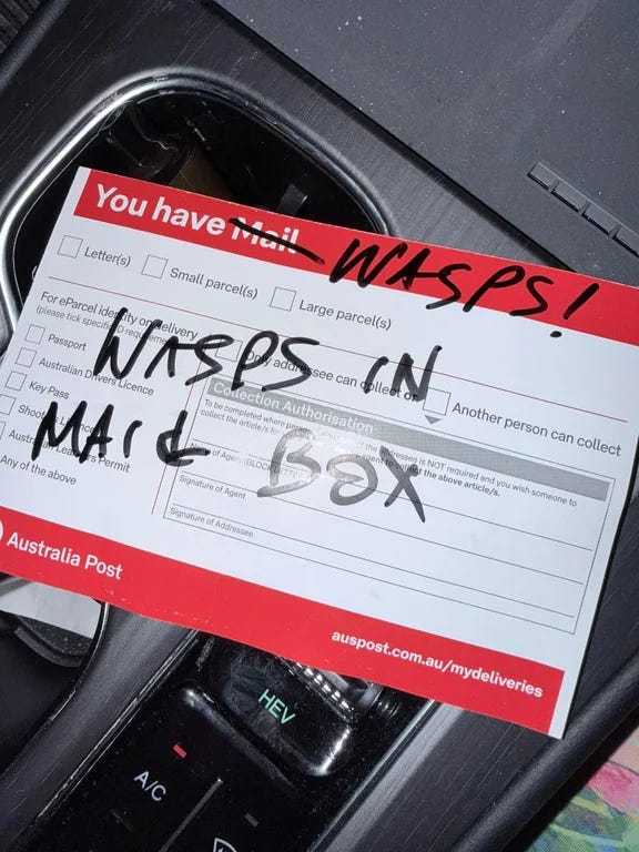 A post office note that says "You have mail" but mail is scratched out and replaced with "wasps," and the note says "wasps in mail box"