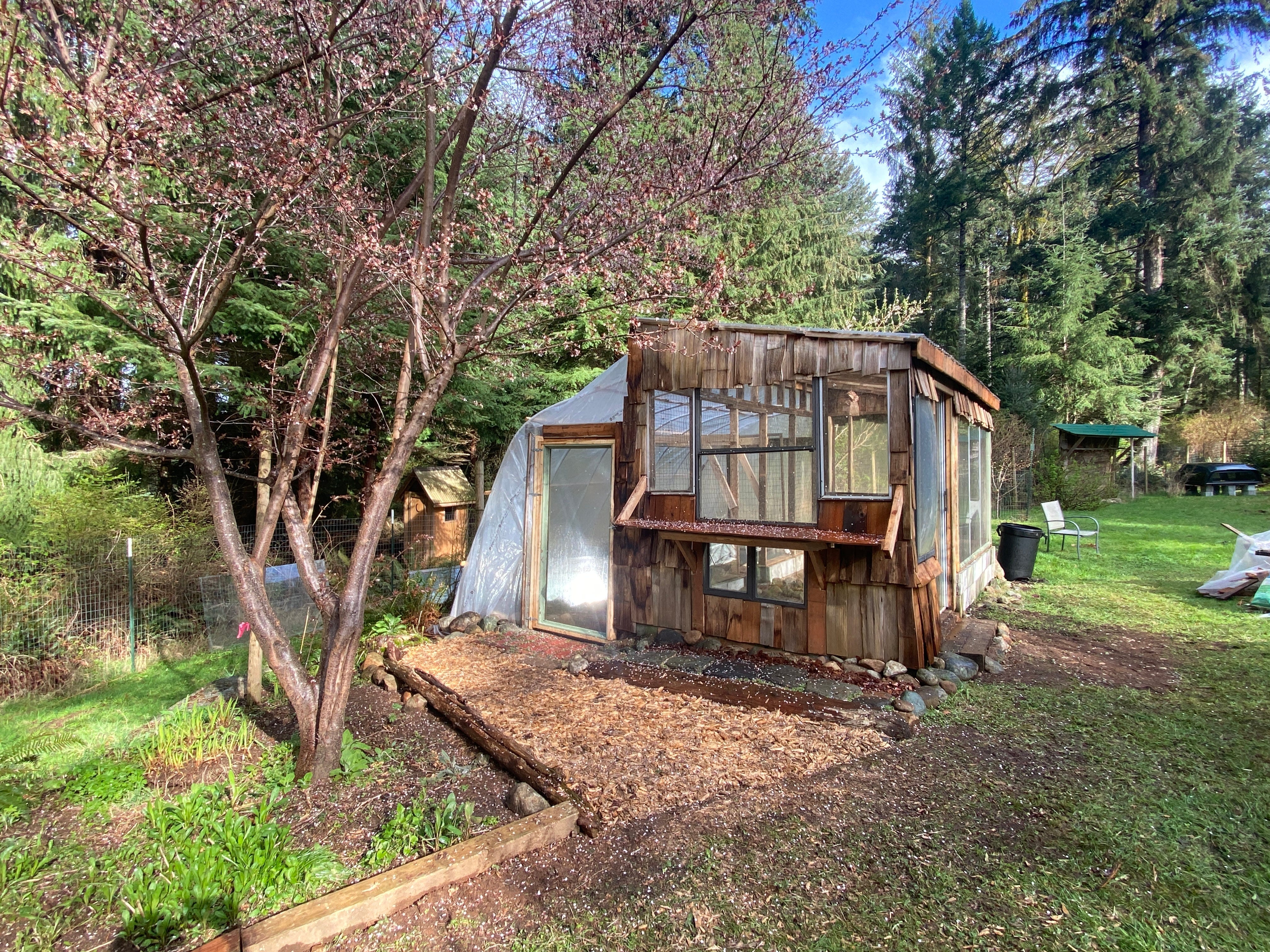 A greenhouse under a tree with blossoms.