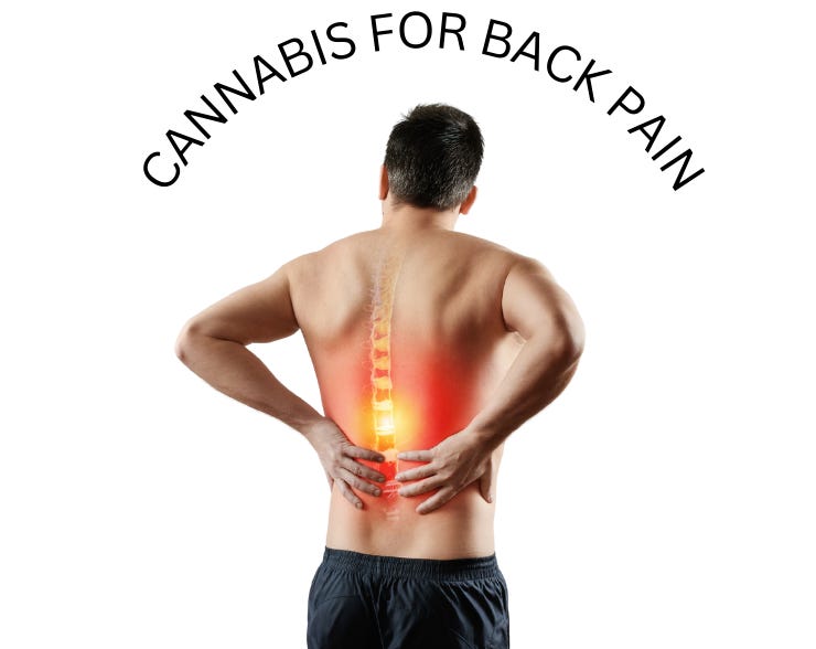 THC and CBD for Chronic Back Pain: A Comprehensive Overview - Trilogy Medicinal THC and CBD for Chronic Back Pain: A Comprehensive Overview - Trilogy Medicinal