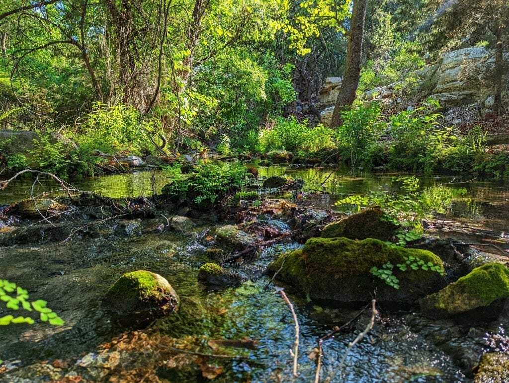 Gorman Falls 3