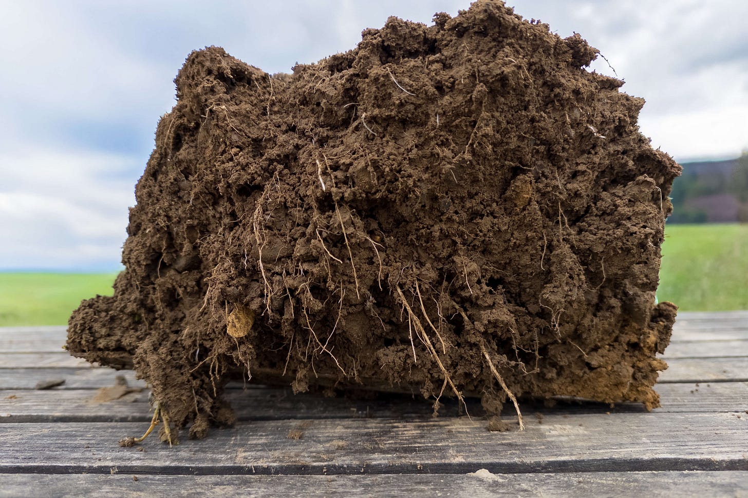 Nahaufnahme eines Erdklumpens mit feinen, verzweigten Wurzeln, auf einem Holztisch abgelegt. Im Hintergrund ist unscharf eine Landschaft mit Feldern und bewölktem Himmel zu sehen. Nahaufnahme eines Erdklumpens mit feinen, verzweigten Wurzeln, auf einem Holztisch abgelegt. Im Hintergrund ist unscharf eine Landschaft mit Feldern und bewölktem Himmel zu sehen.