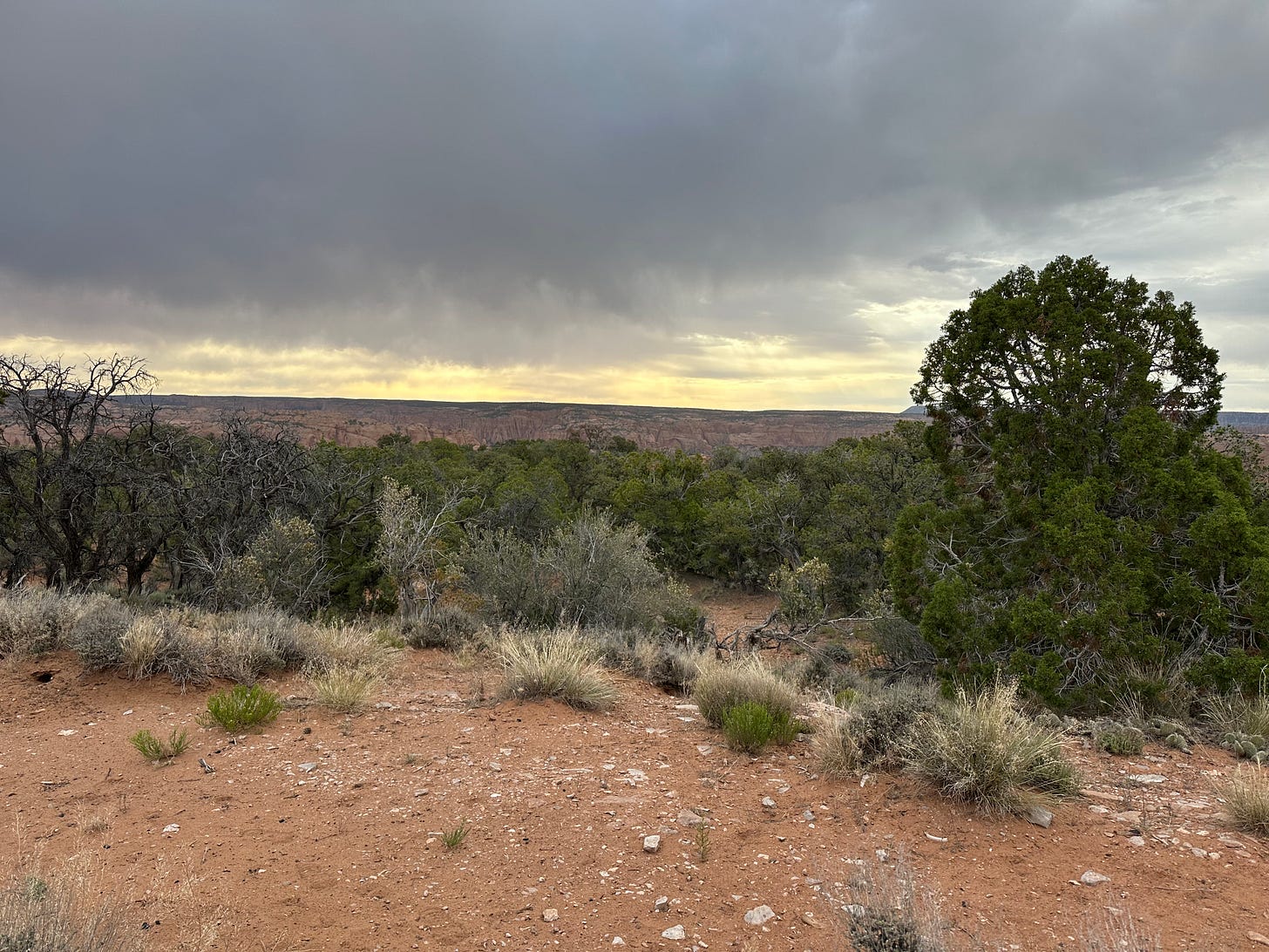 Virga in the high desert Virga in the high desert