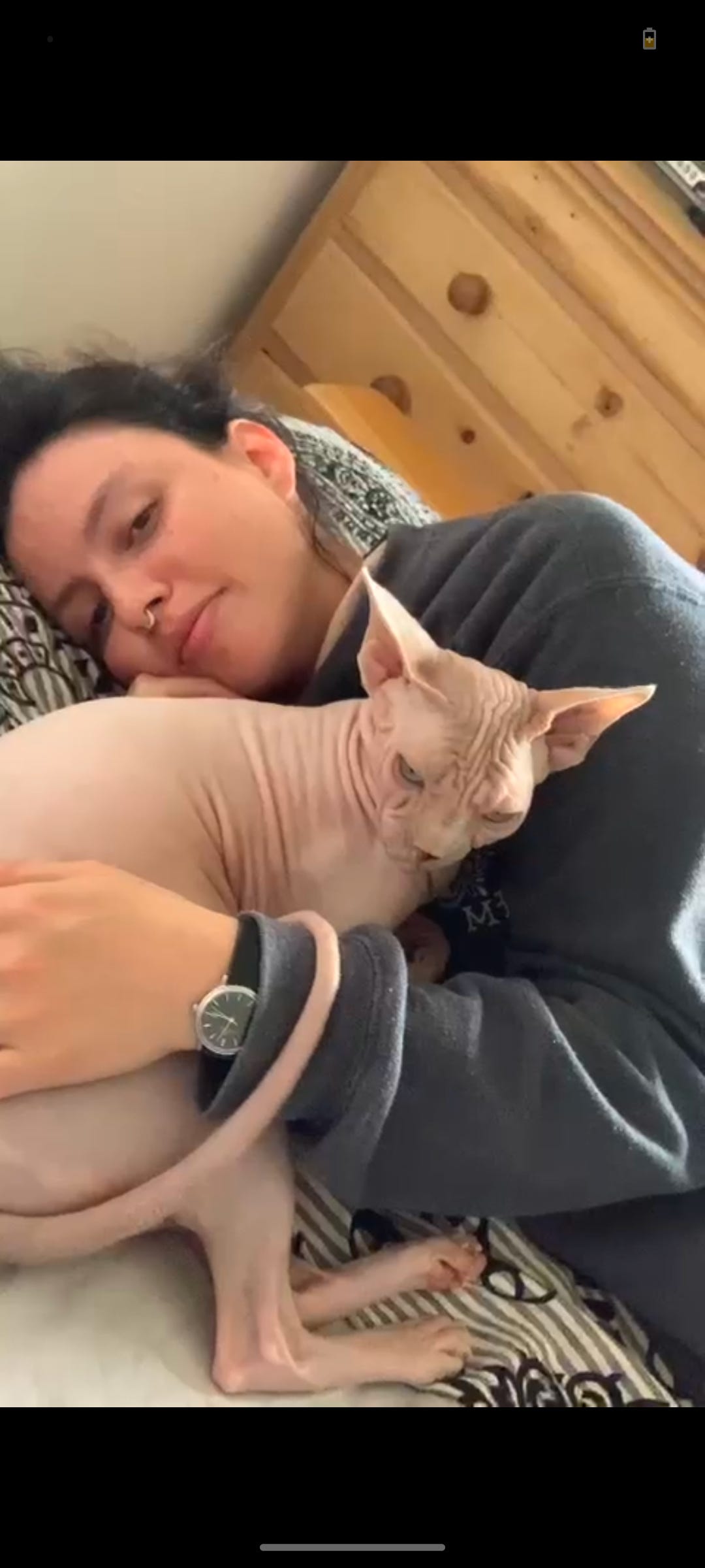 Artwork for Andesanthus lepidotus