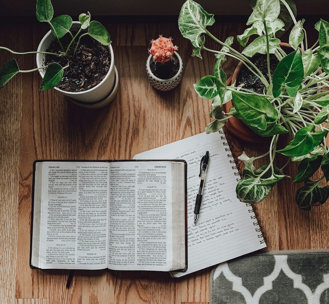 white book page beside green potted plant white book page beside green potted plant