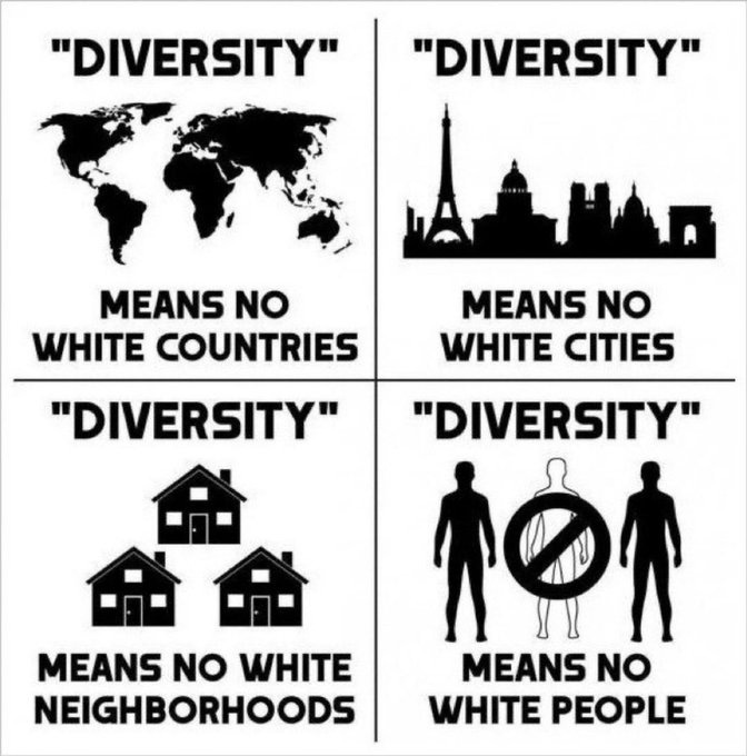 Four-panel black-and-white graphic divided into quadrants. Top left shows a world map with text Diversity means no white countries. Top right depicts Paris skyline including Eiffel Tower and Arc de Triomphe with text Diversity means no white cities. Bottom left illustrates three houses with text Diversity means no white neighborhoods. Bottom right features two silhouetted male figures one crossed out with text Diversity means no white people.