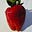 Badruborg's avatar