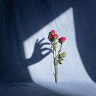 Give People More Than They Expect