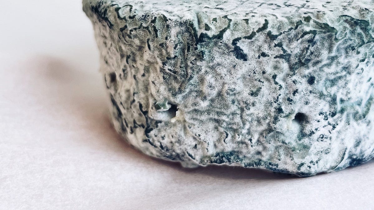 how to: make fermented vegan cheese - by Ellie Phoebe Brown