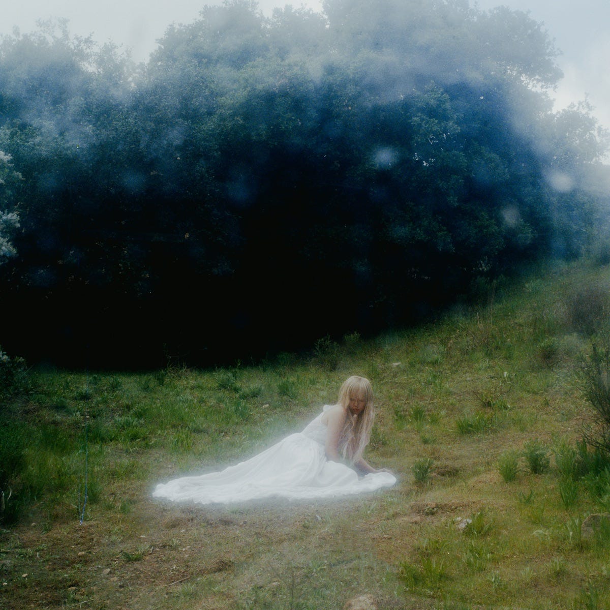 Wisp — If Not Winter Wisp — If Not Winter