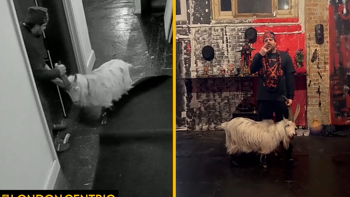 Are goats being sacrificed in this Hackney office?