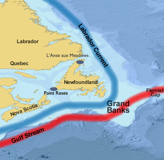 New Possible Viking Age Site Discovered In Newfoundland, Canada