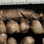 Anthropology.net
