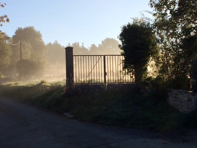 morning-mist morning-mist