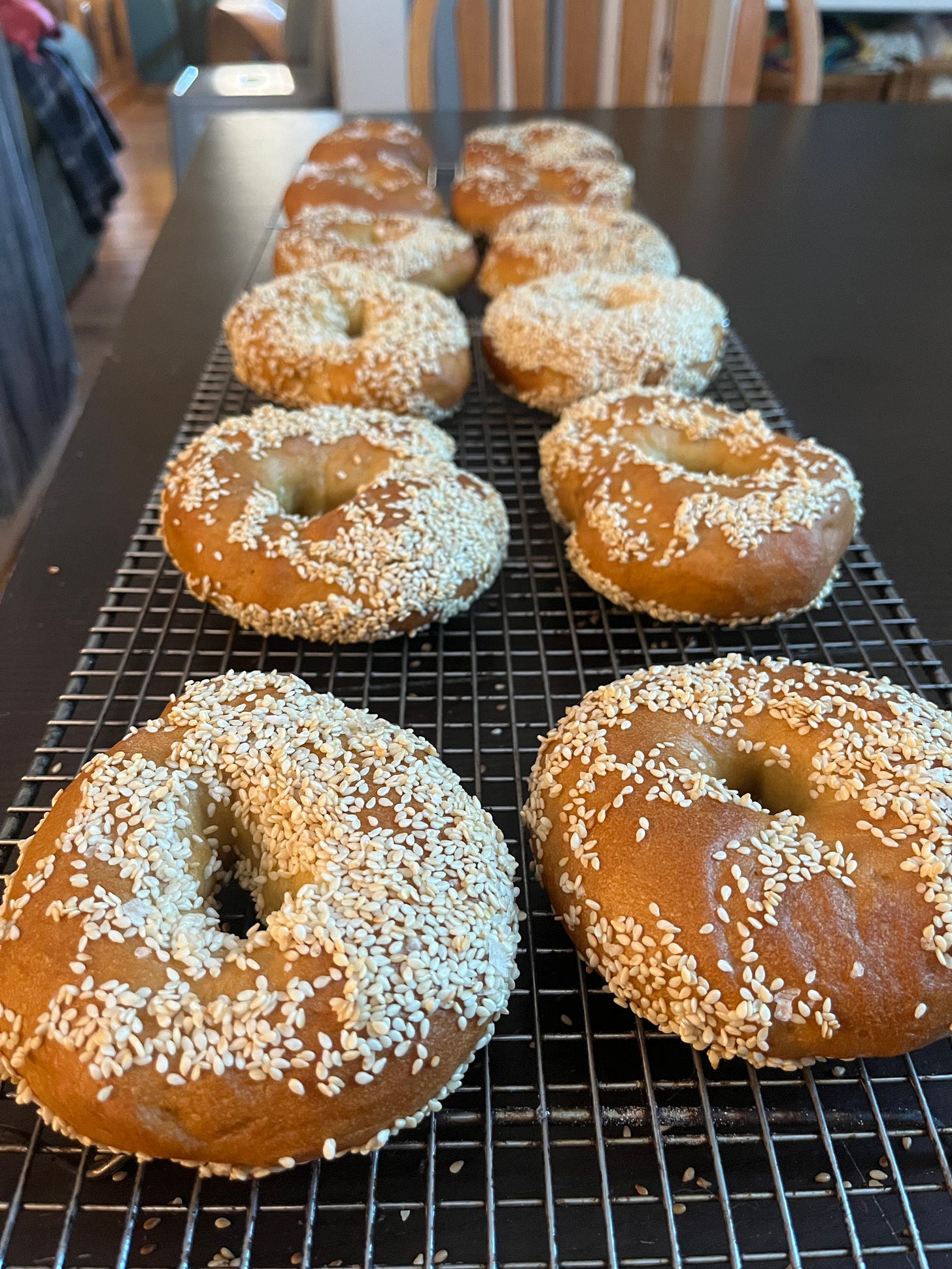 A bunch of golden bagels coated in sesame seeds cooling on a wire rack