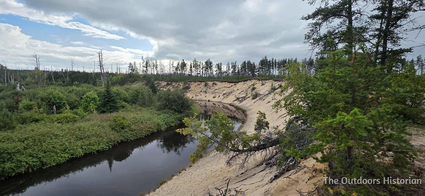 Standing on an oxbow curve of a river. The bank I'm standing on is a high, sandy dune that descends sharply to the river. The other bank is a floodplain forest.