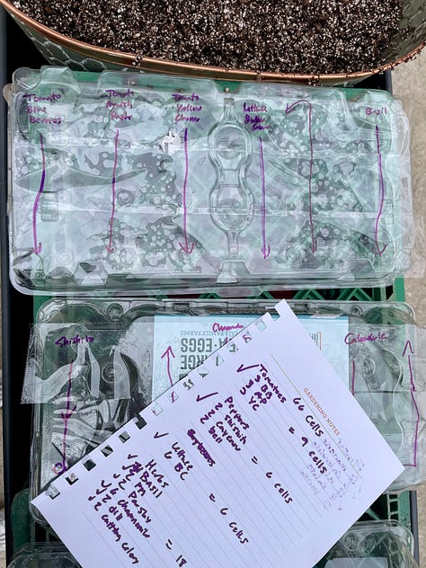 seed starting with egg cartons