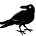 The Green River Observer's avatar