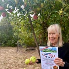 Celebrate Sonoma Apples, a new event in honor of Sebastopol’s favorite fruit
