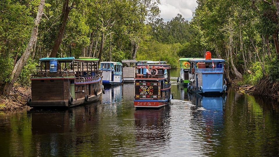 In Central Kalimantan, Tanjung Puting National Park offers a very different kind of escape: spending several nights aboard a klotok, a traditional wooden riverboat that cruises along the Sekonyer River through tropical rainforest and wetland landscapes. In Central Kalimantan, Tanjung Puting National Park offers a very different kind of escape: spending several nights aboard a klotok, a traditional wooden riverboat that cruises along the Sekonyer River through tropical rainforest and wetland landscapes.