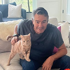 On Cats and Other Catastrophes