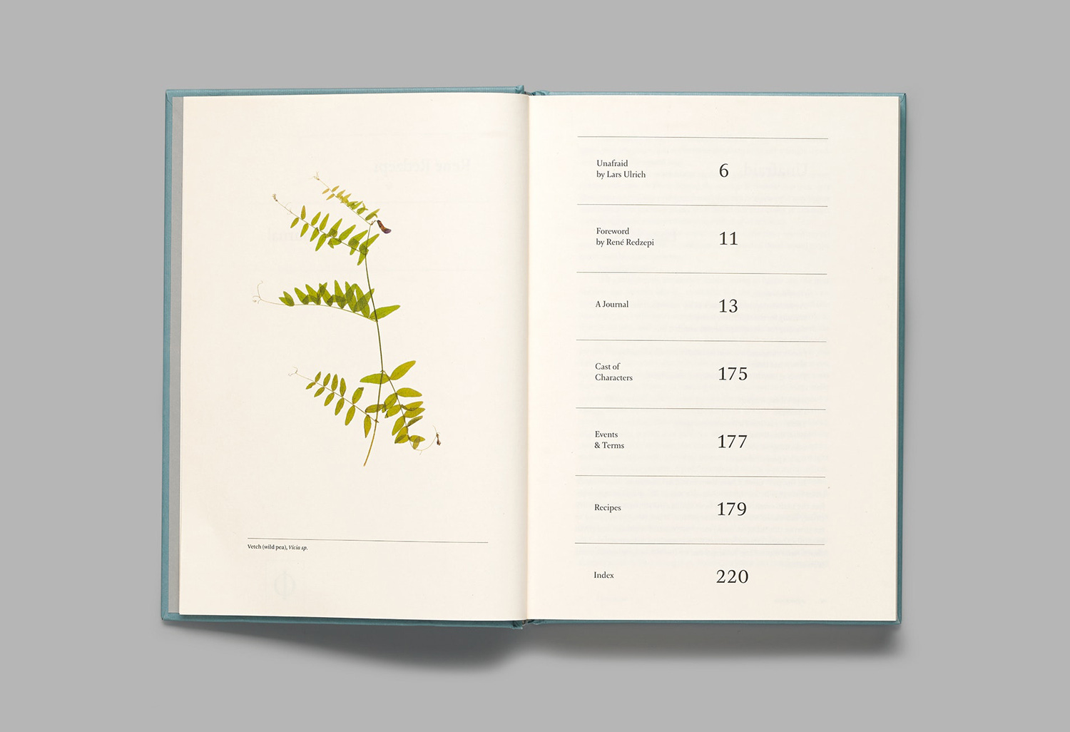 René Redzepi: A Work in Progres - by Daniel Scheffler