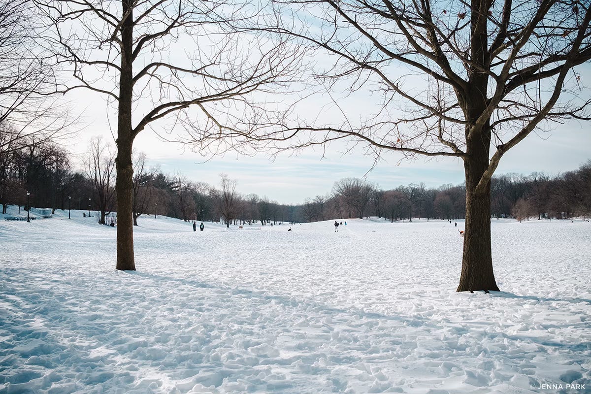 Blue hour in Prospect Park