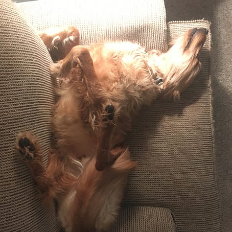 Images of Jordy through the last decade