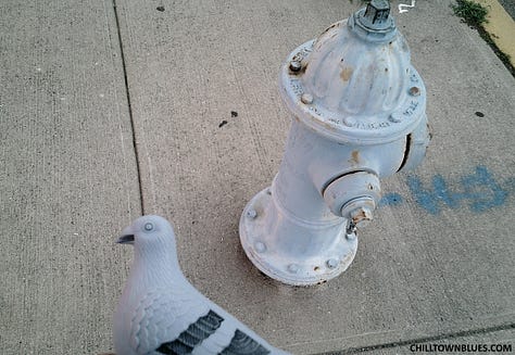 Chilltown Blues Photos: From top left to right, the Chilltown Blue Pigeon at a bird's eye view via a kind of widescreen, walking on cement path with a few petals strewn over it; pigeon in foreground at left, looking at Kei Ito's "Riddle of Peace and War," which alternates between the two lines: wwho will be the next sacrifice for the peace" and "who will be the next sacrifice for the war"; third in top row: Black and white image of pigeon head (figurine) in front of plant growth that looks like it's springing from its head coming from a gravely surface. Middle row, first from left: blue-gray pigeon figurine (with black-striped wing) adjacent to faded blue fire hydrant; center, bust of pigeon figurine, with small hole in neck, in front of nighttime landscape wherein a Christmas tree is across street, with green lights and a section along bottom missing as such; at right, silhouettle of pigeon figurine as two beige globe lanterns loom above in background on gray day; bottom left, black and white of pigeon figurine against large scattered leaves, all in grayscale;  cernter, pigeon figure looks in direction of tree as JC building looms in background; pigeon figurine in foreground as mid-ground has stop sign with "FU" grafitti on it, all in dark grayscale.