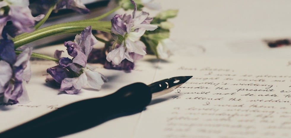 purple flowers on paper