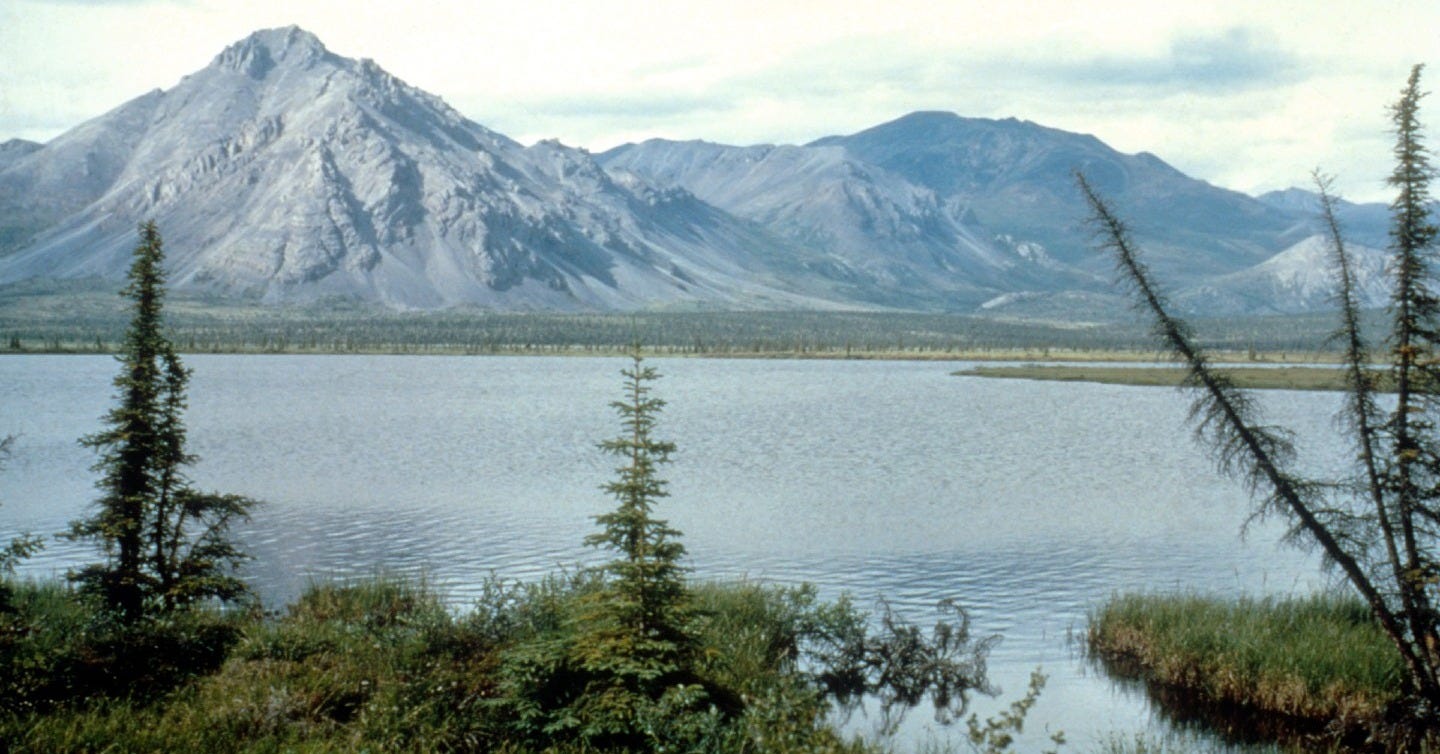 Limited interest for Alaska drilling rights auction Limited interest for Alaska drilling rights auction