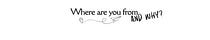 Where are you from, and why?