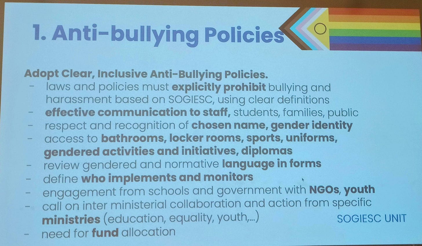 Slide from IGLYO Workshop at the Proud Pupils conference June 2025 (photo: Annette Pacey)