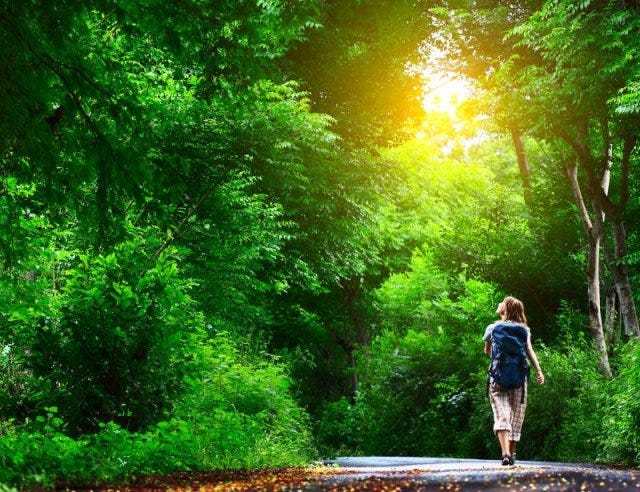 GET OUTSIDE - Why it's important to walk in nature - Freak of Natural