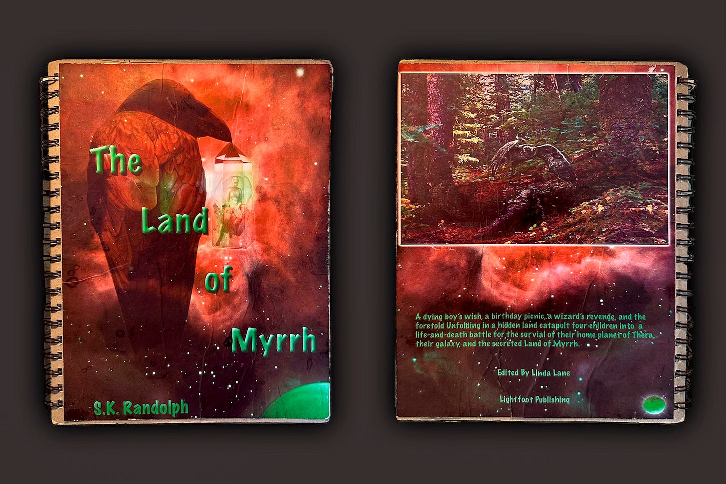 Copy of inital draft of DiMensioner's Revenge (with working title) showing front and back cover of a 8 1/2 x 11 bound document from 2008.