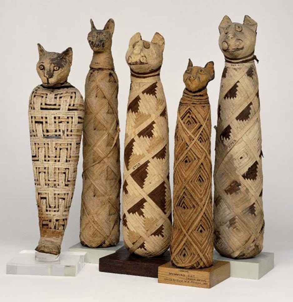 A row of five mummified cats in the British Museum. Each one is standing on a small square plinth, and essentially resembles a long tube wrapped in strips of (presumably) papyrus, in a variety of patterns, and with a carved (wooden?) cat’s head at the top