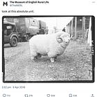Museums are bad at social media 