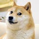 nara’s Substack