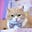 BrotherCreamy's avatar