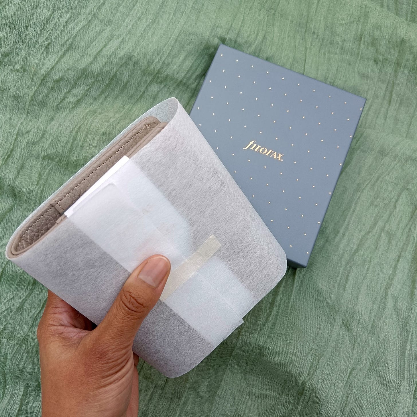 Hand holding the Norfolk in packaging