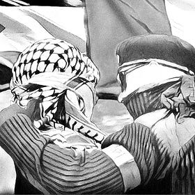 why does Ireland love Palestine?