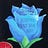 Blue Rose Reports